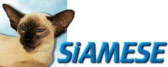 Siamese Breed Information