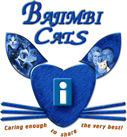 bajimbi cats