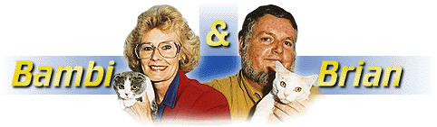 Bajimbi Cats - Bambi & Brian