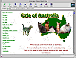 Cats of OZ