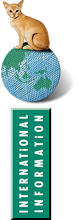 International Information