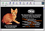 TICA