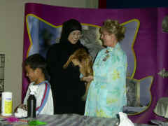 Bambi judging in Dubai 2005 049.jpg (347366 bytes)