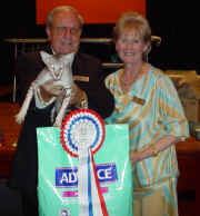 Top Cat Show.jpg (87565 bytes)